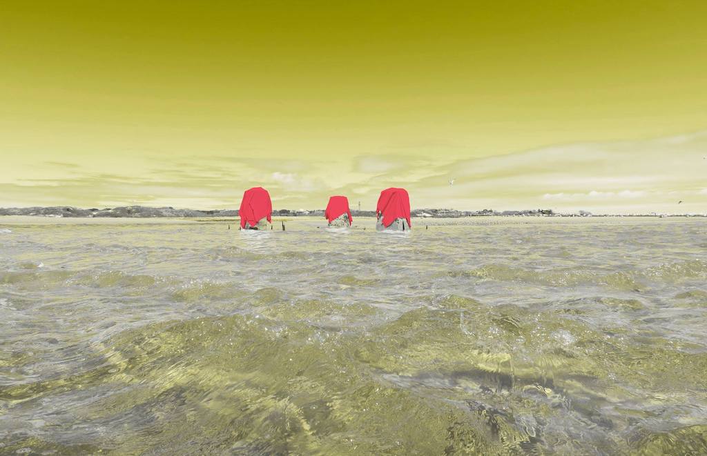 Cape Cod National Seashore Herring Cove Building Provincetown 2020